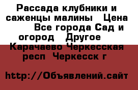 Рассада клубники и саженцы малины › Цена ­ 10 - Все города Сад и огород » Другое   . Карачаево-Черкесская респ.,Черкесск г.